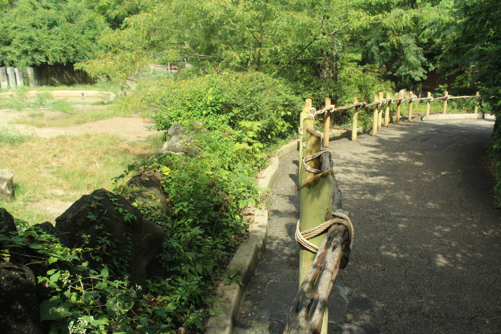 Sep. 2016 - Rhino Reserve - More and more added fencing...