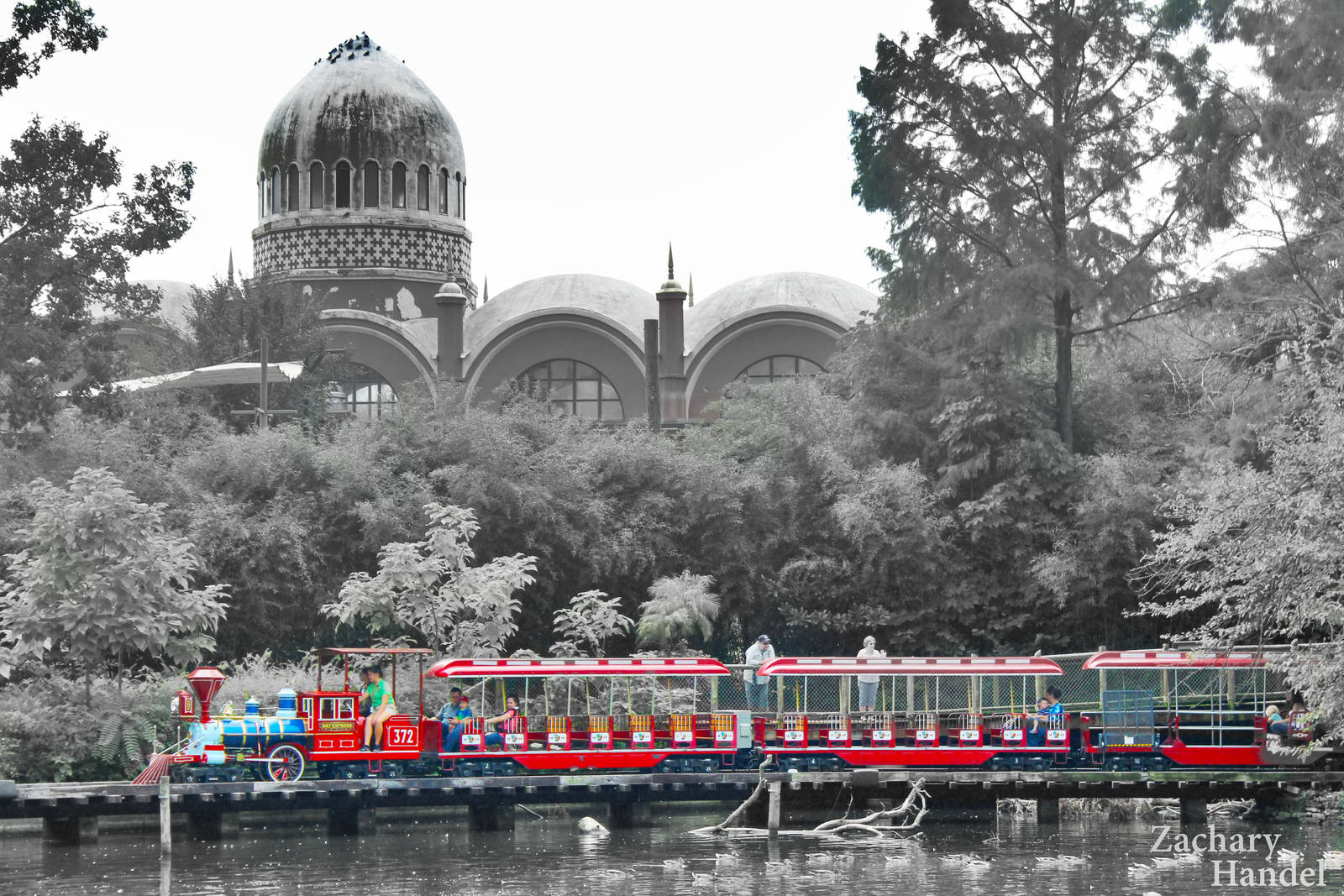 Sep. 2016 - Train and Elephant House