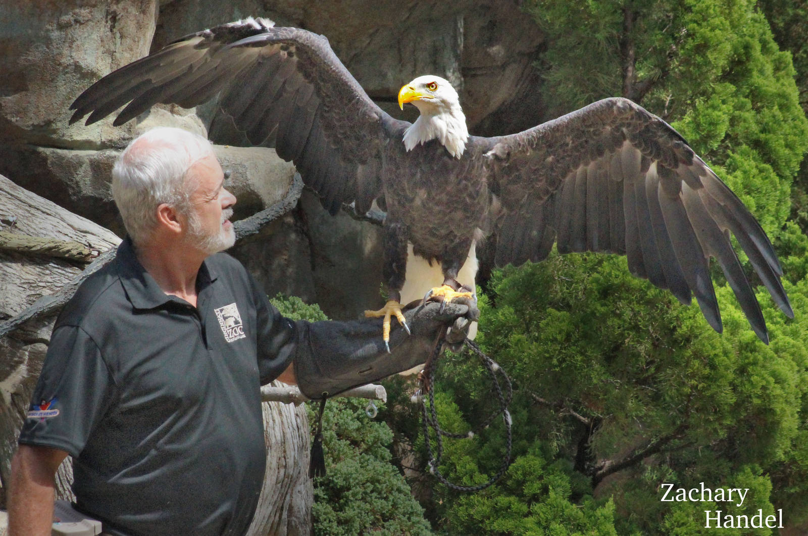 Sep. 2016 - Wings of Wonder - Sam