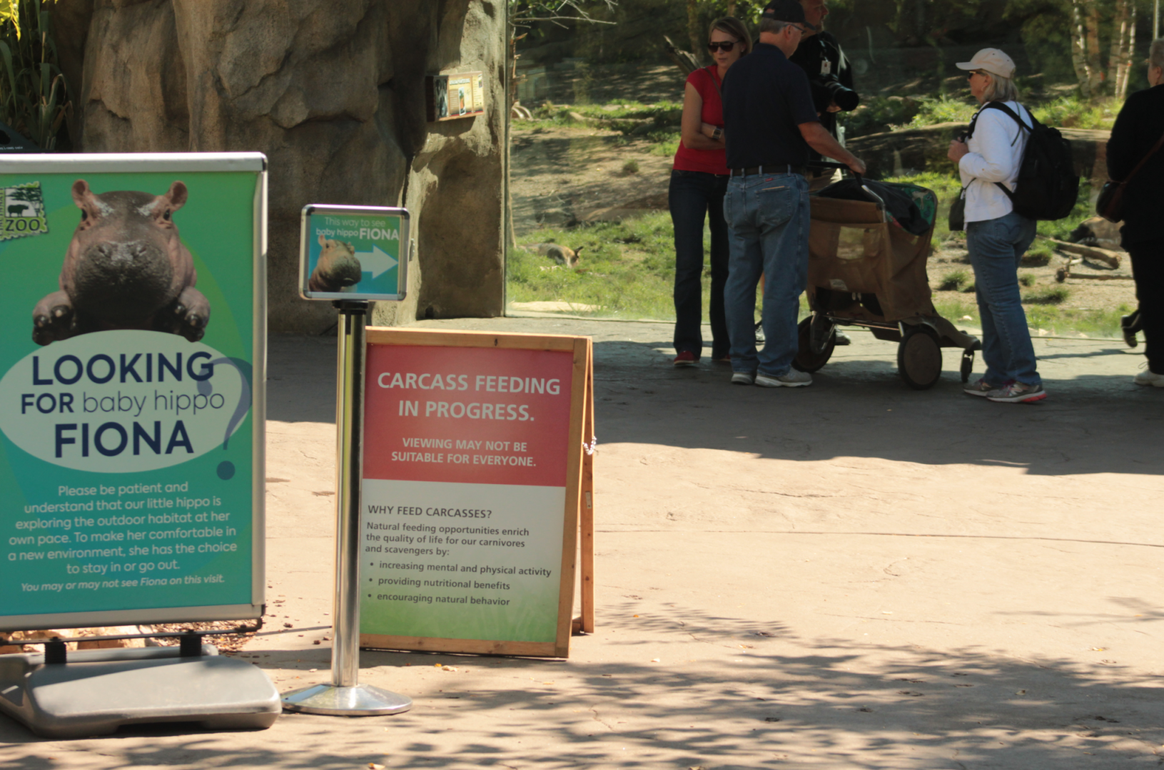 Sep. 2017 - Africa - Carcass Feeding in Progress