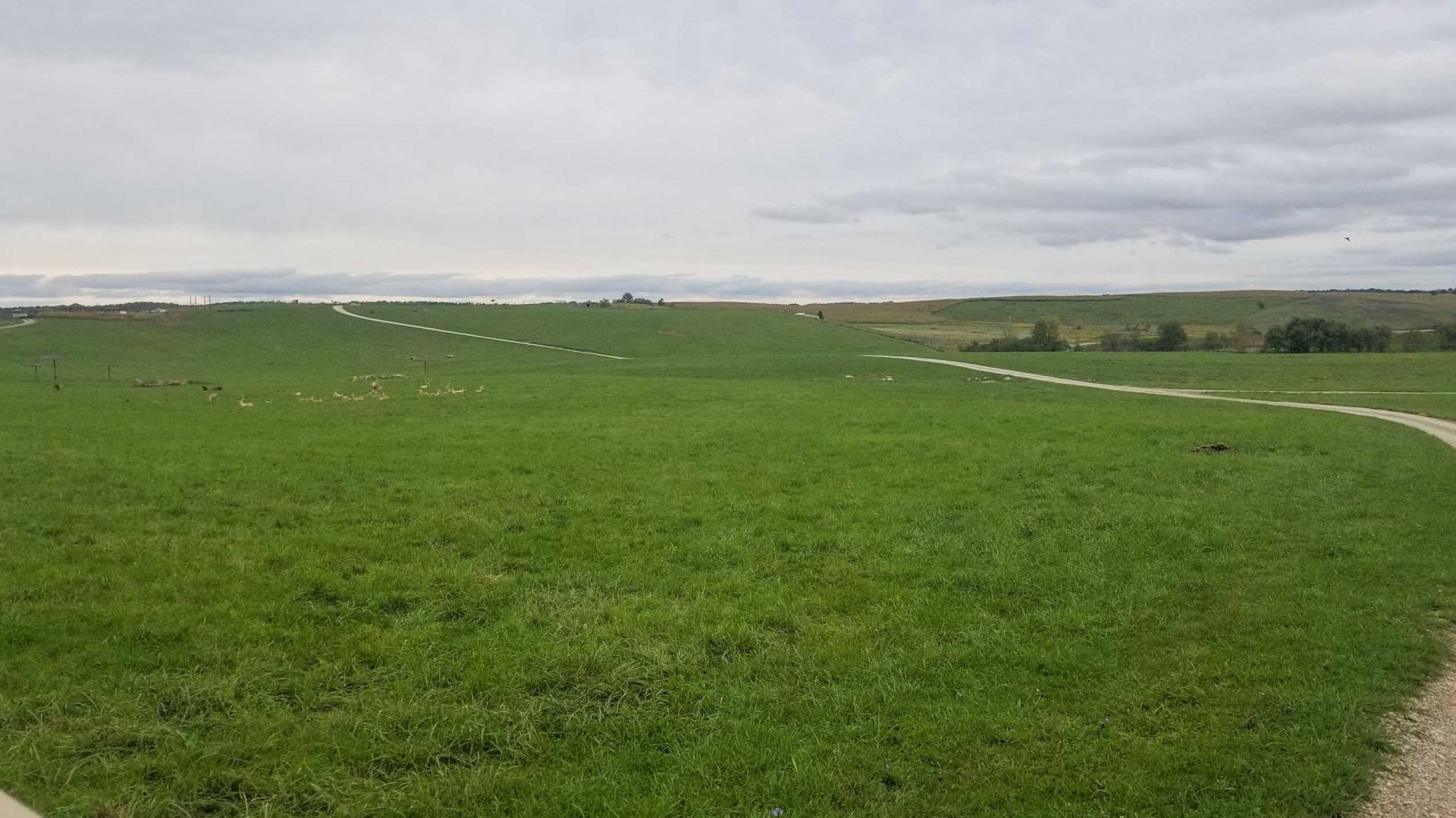 Sep. 2018 - 125 Acre Pasture (5 Species)