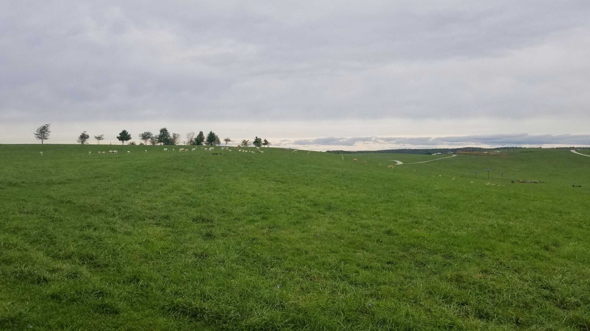 Sep. 2018 - 125 Acre Pasture (5 Species)