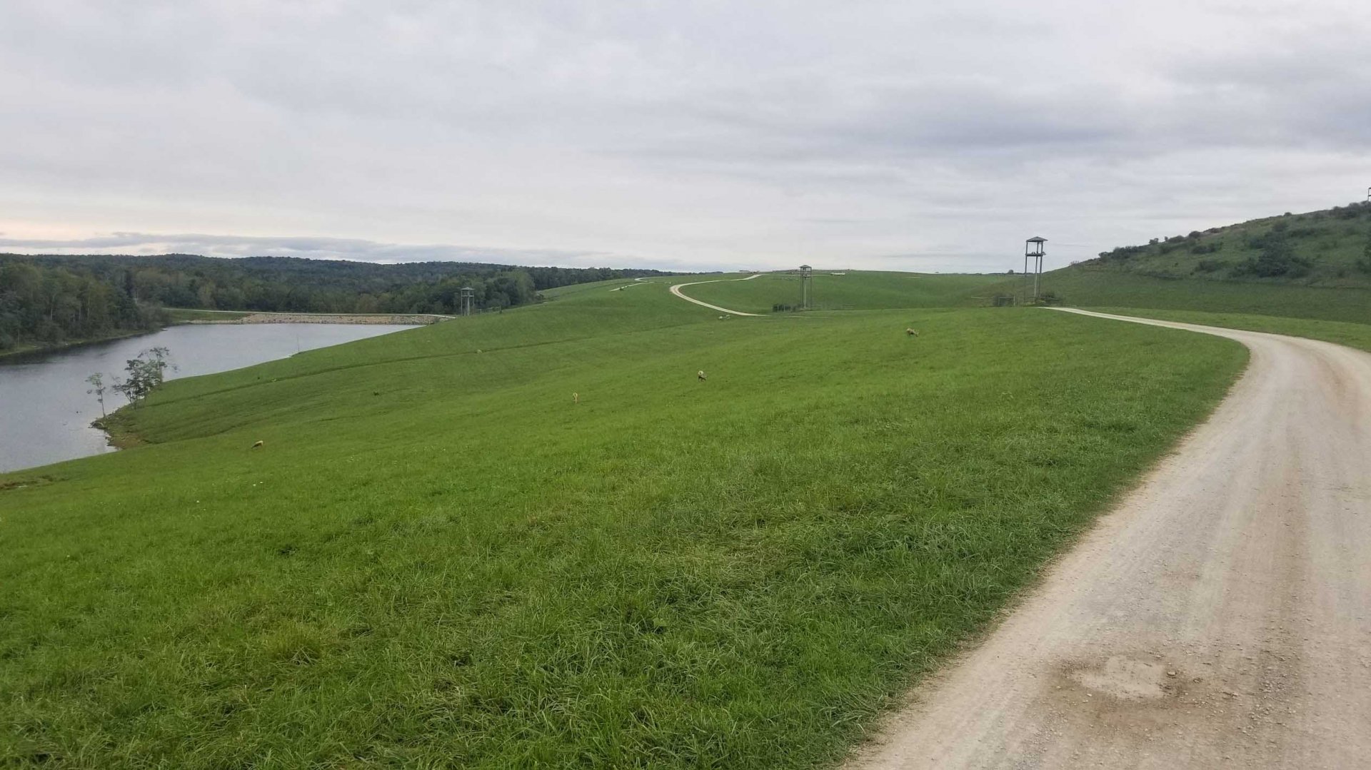 Sep. 2018 - 350 Acre First Pasture (11 Species)