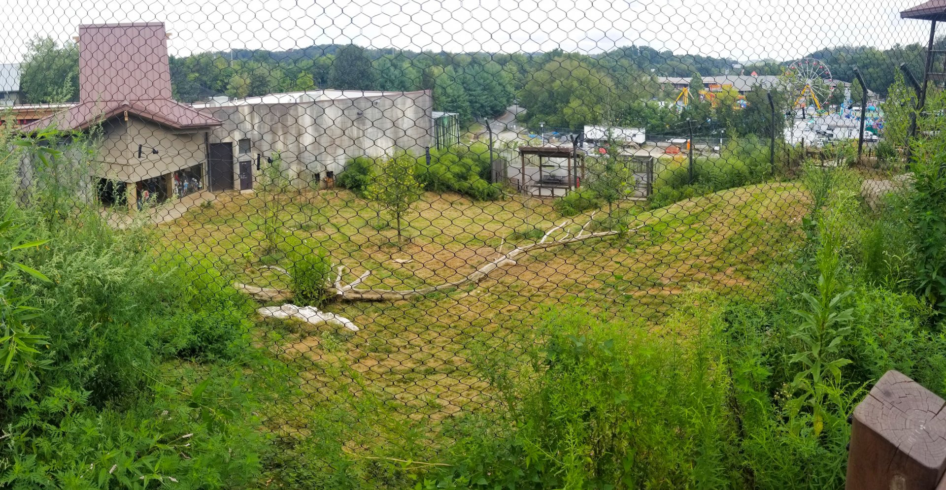Sep. 2018 - Asian Trek - First Malayan Tiger Exhibit Panorama