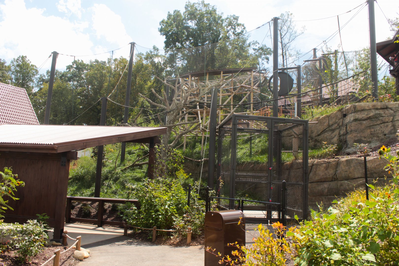 Sep. 2018 - Asian Trek - Silvered Leaf Langur Exhibit