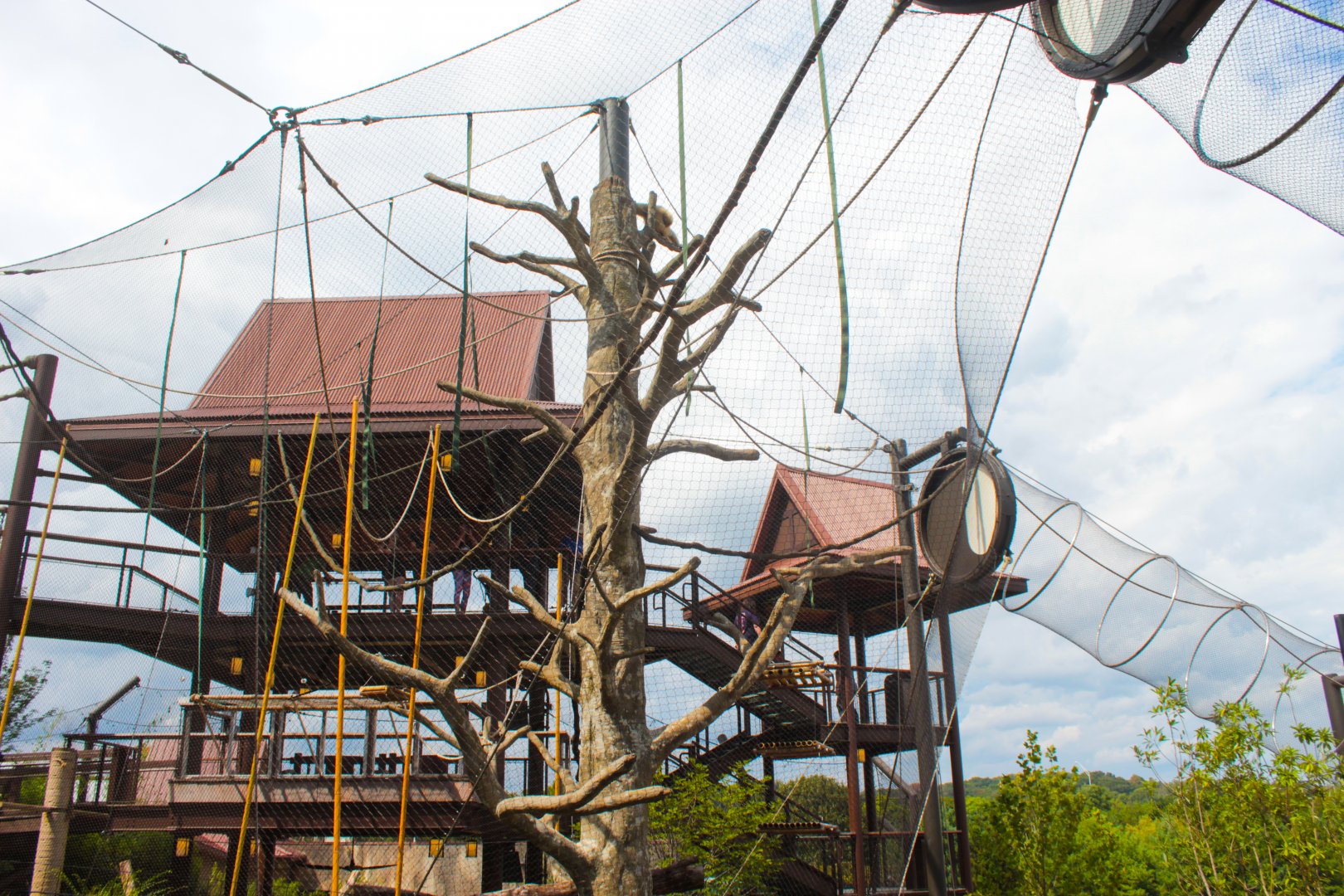 Sep. 2018 - Asian Trek - White-handed Gibbon Exhibit