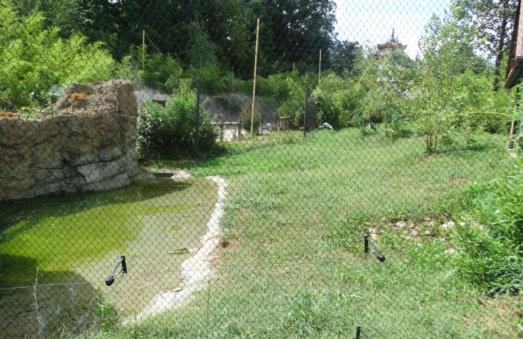 Sep. 2018 - Asian Trek - White-naped Crane Exhibit