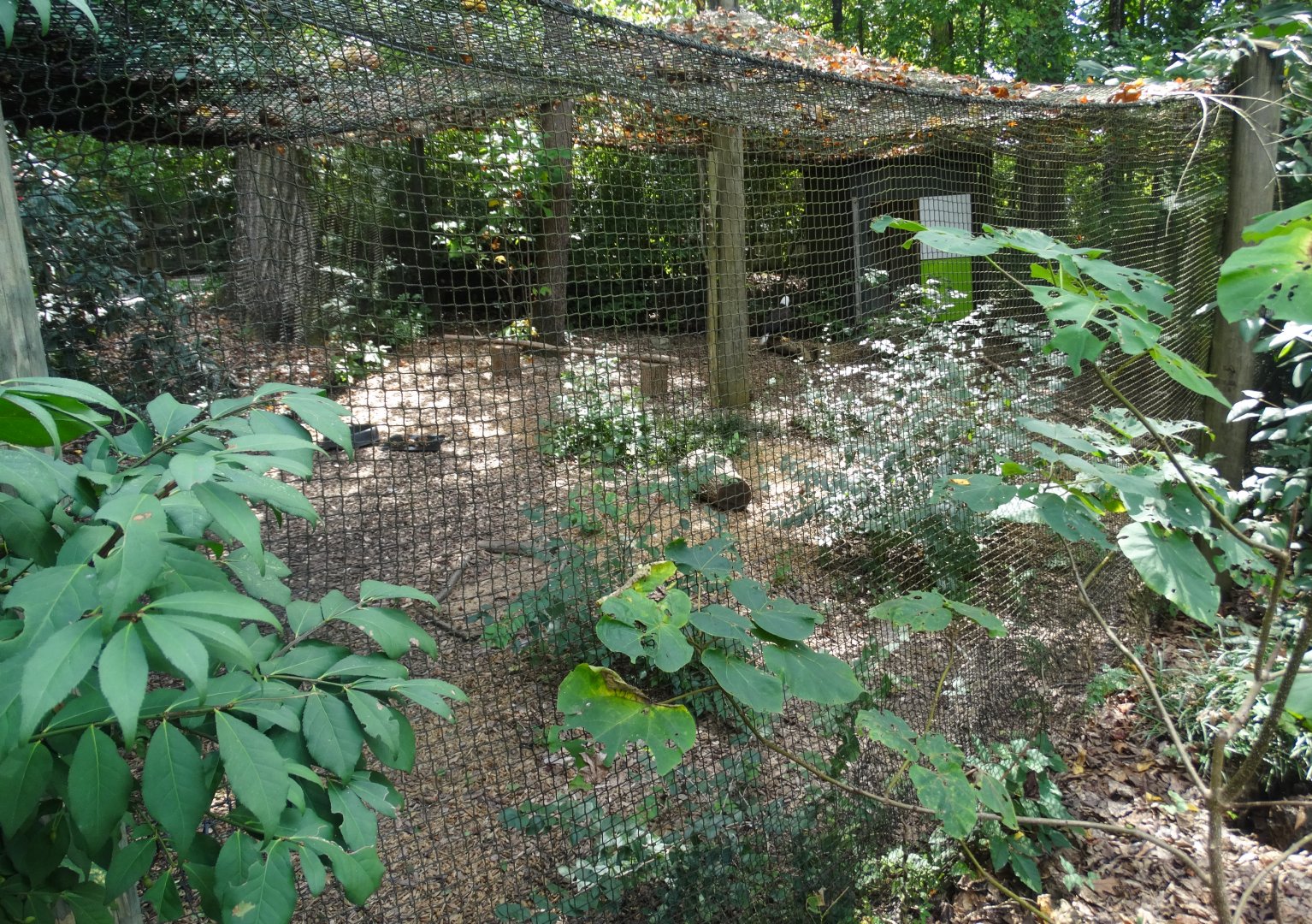 Sep. 2018 - Bald Eagle Exhibit