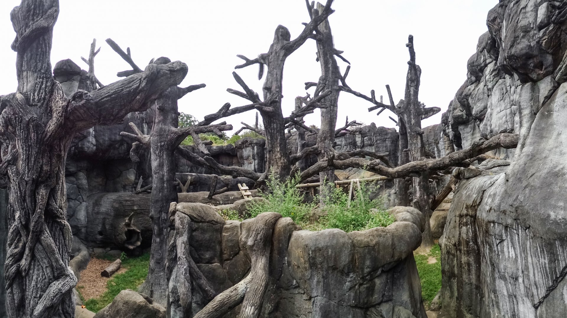 Sep. 2018 - Black Bear Falls Panorama
