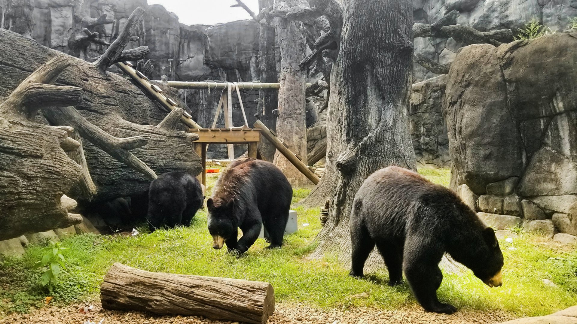 Sep. 2018 - Black Bear Falls
