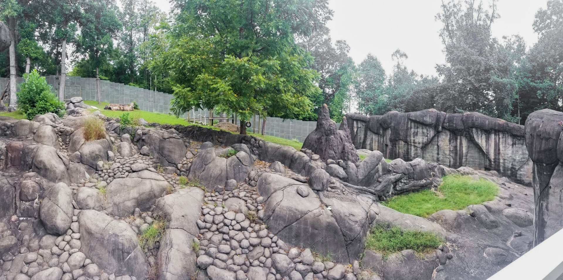 Sep. 2018 - Chimp Ridge - Chimpanzee Outdoor Exhibit Panorama