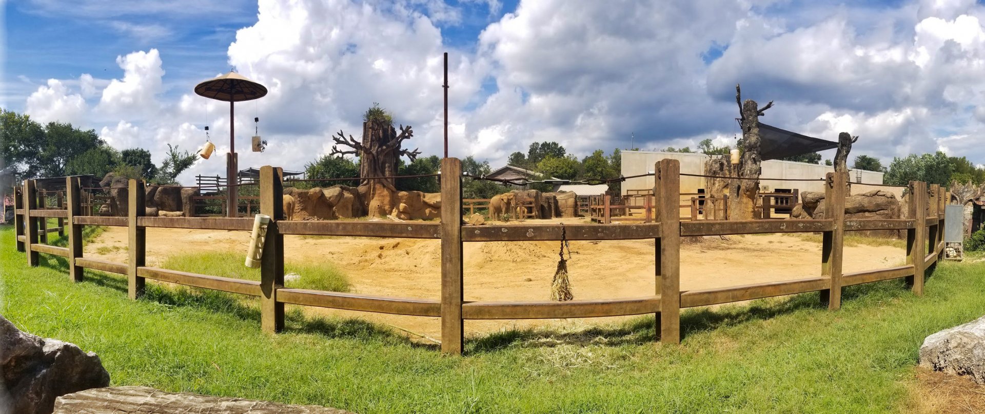 Sep. 2018 - Grasslands Africa - 0.65 Acre African Elephant Exhibit