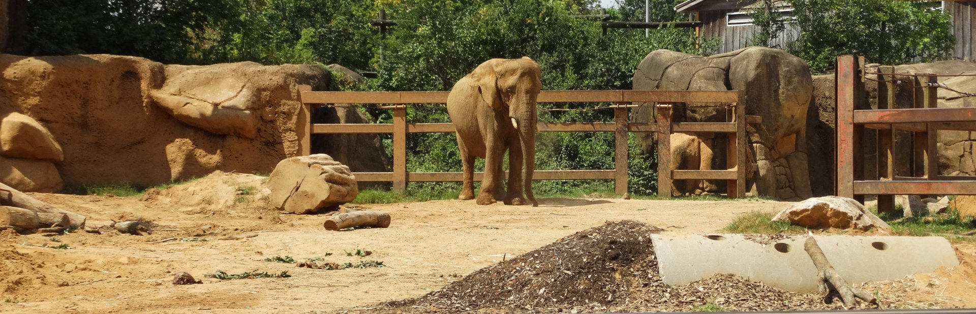 Sep. 2018 - Grasslands Africa - 0.65 Acre Elephant Exhibit (View Between the Bars)