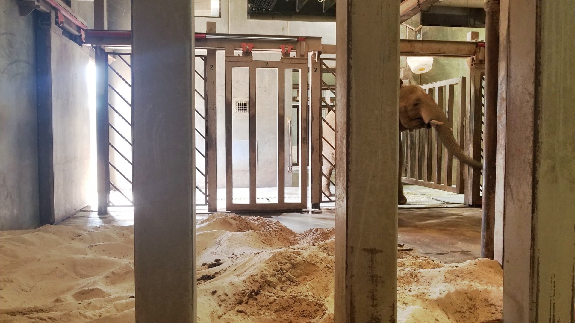 Sep. 2018 - Grasslands Africa - Indoor Elephant Exhibit