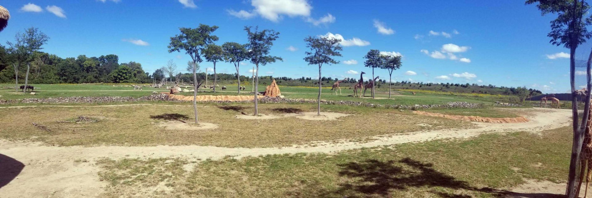 Sep. 2018 - Heart of Africa - 10 Acre Savannah Panorama (12 Species)