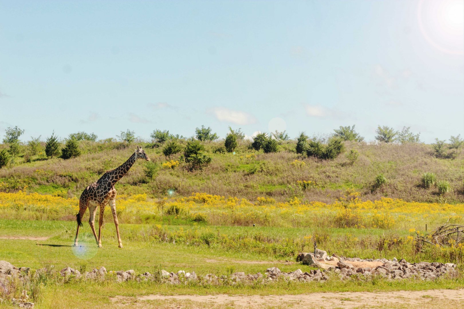 Sep. 2018 - Heart of Africa - On the Plains