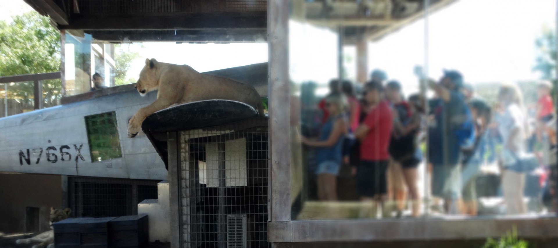 Sep. 2018 - Heart of Africa - On the Plane