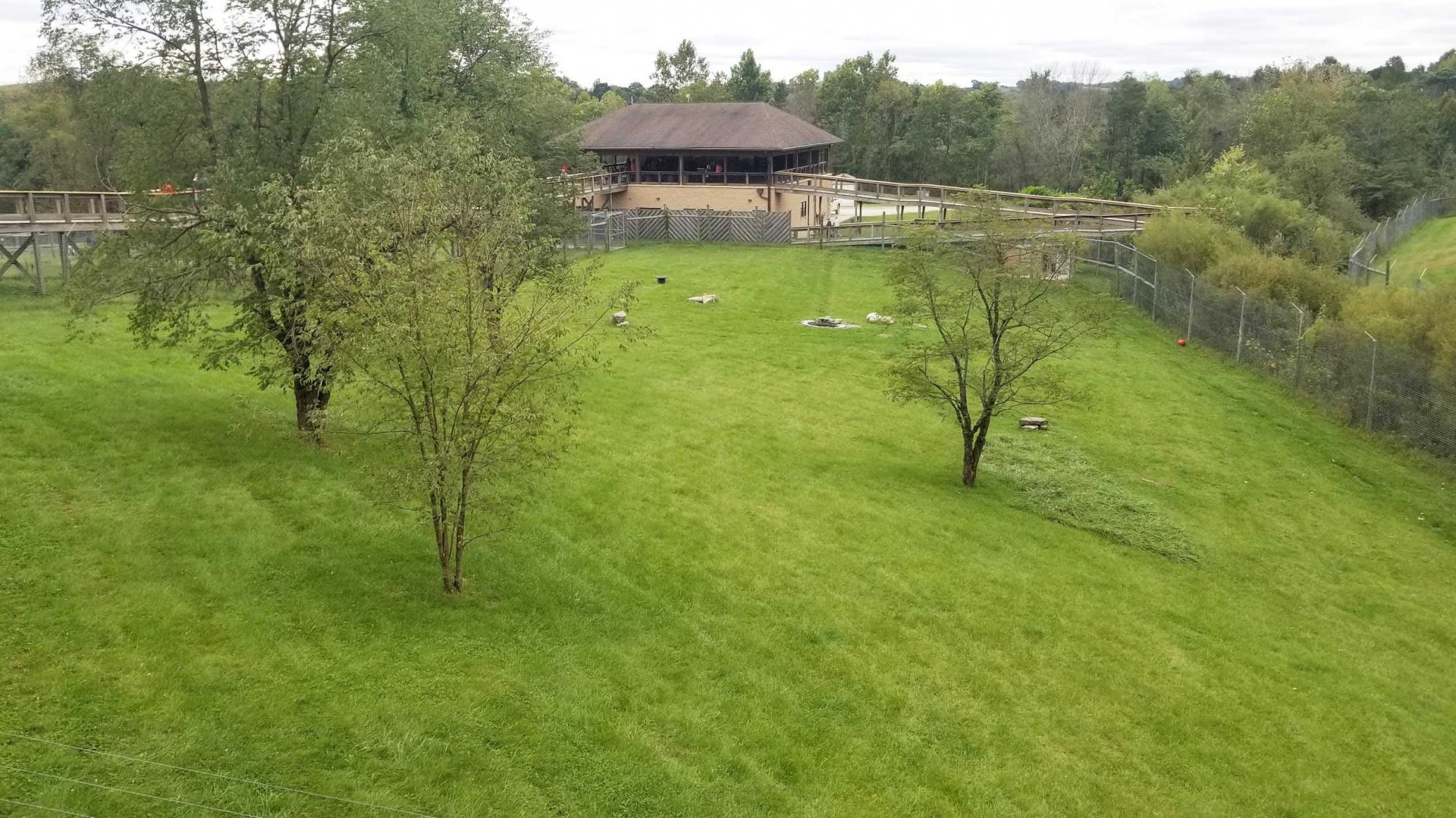 Sep. 2018 - Mid-sized Carnivore Conservation Center - 1.4 Acre Dhole Exhibit