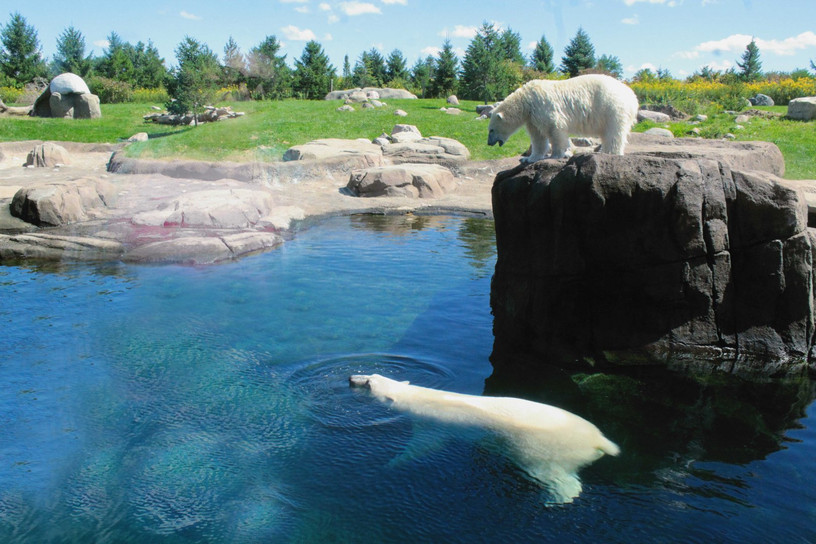 Sep. 2018 - Polar Frontier