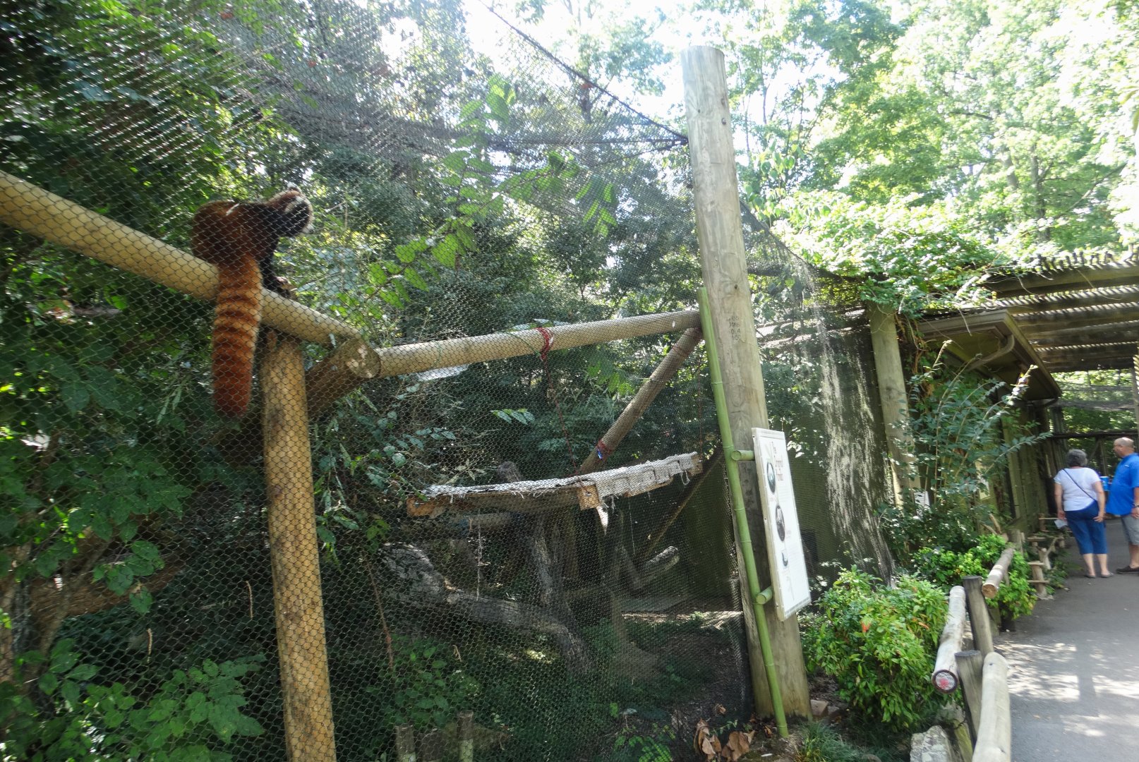 Sep. 2018 - Red Panda Village - Left Red Panda Exhibit