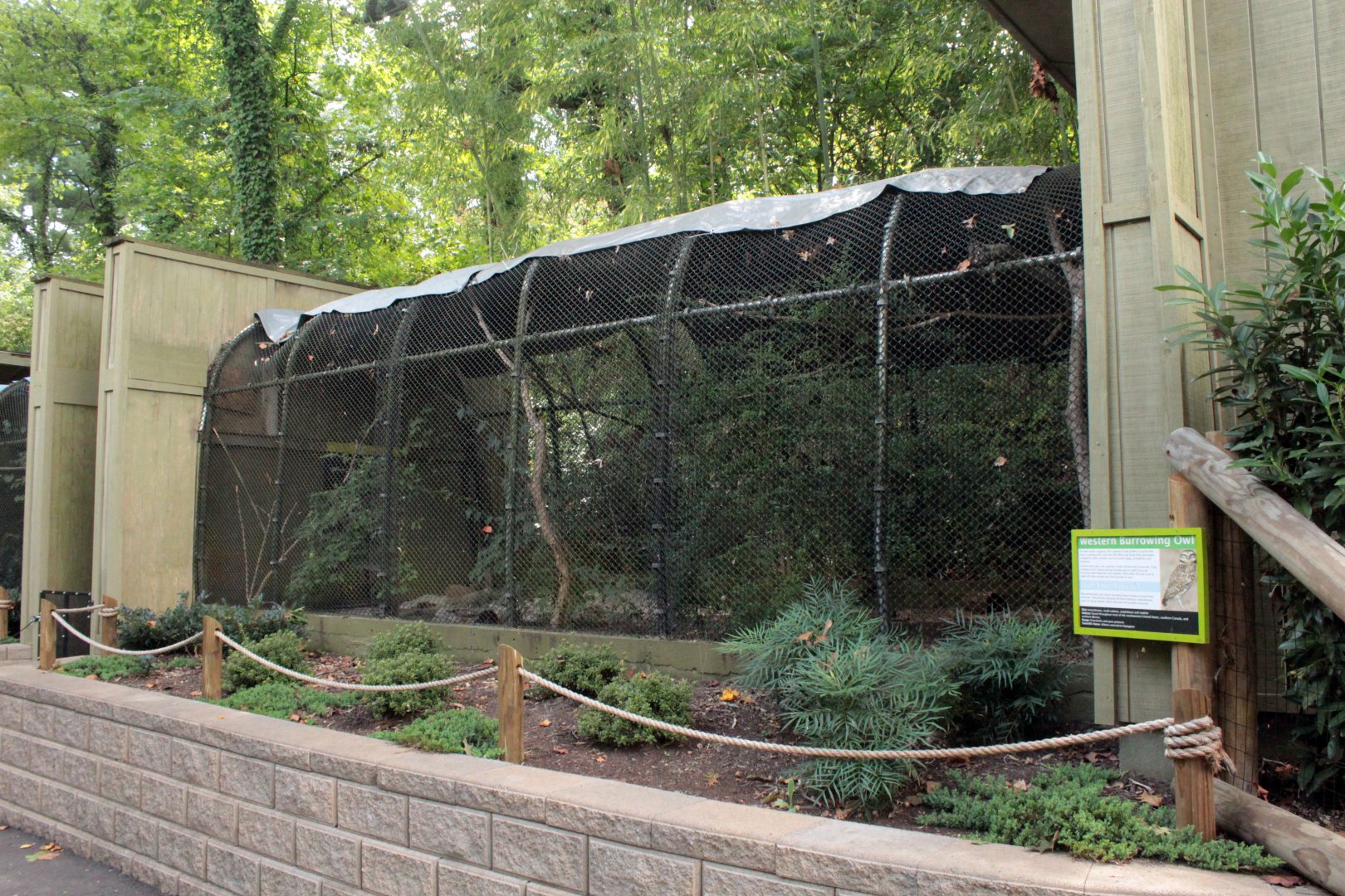 Sep. 2018 - Western Burrowing Owl Exhibit