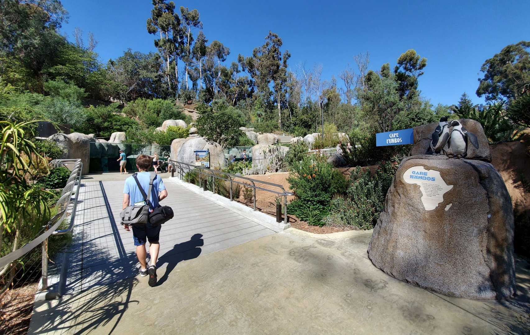 Sep. 2019 - Africa Rocks - Cape Fynbos