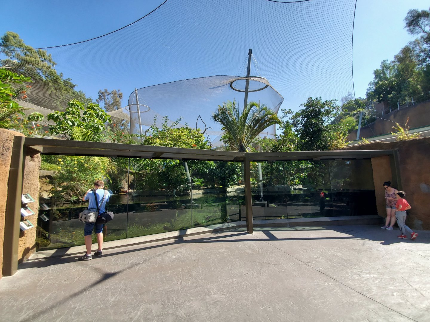 Sep. 2019 - Africa Rocks - Dwarf Crocodile/Madagascar Big-headed Turtle/West African Mud Turtle Exhibit