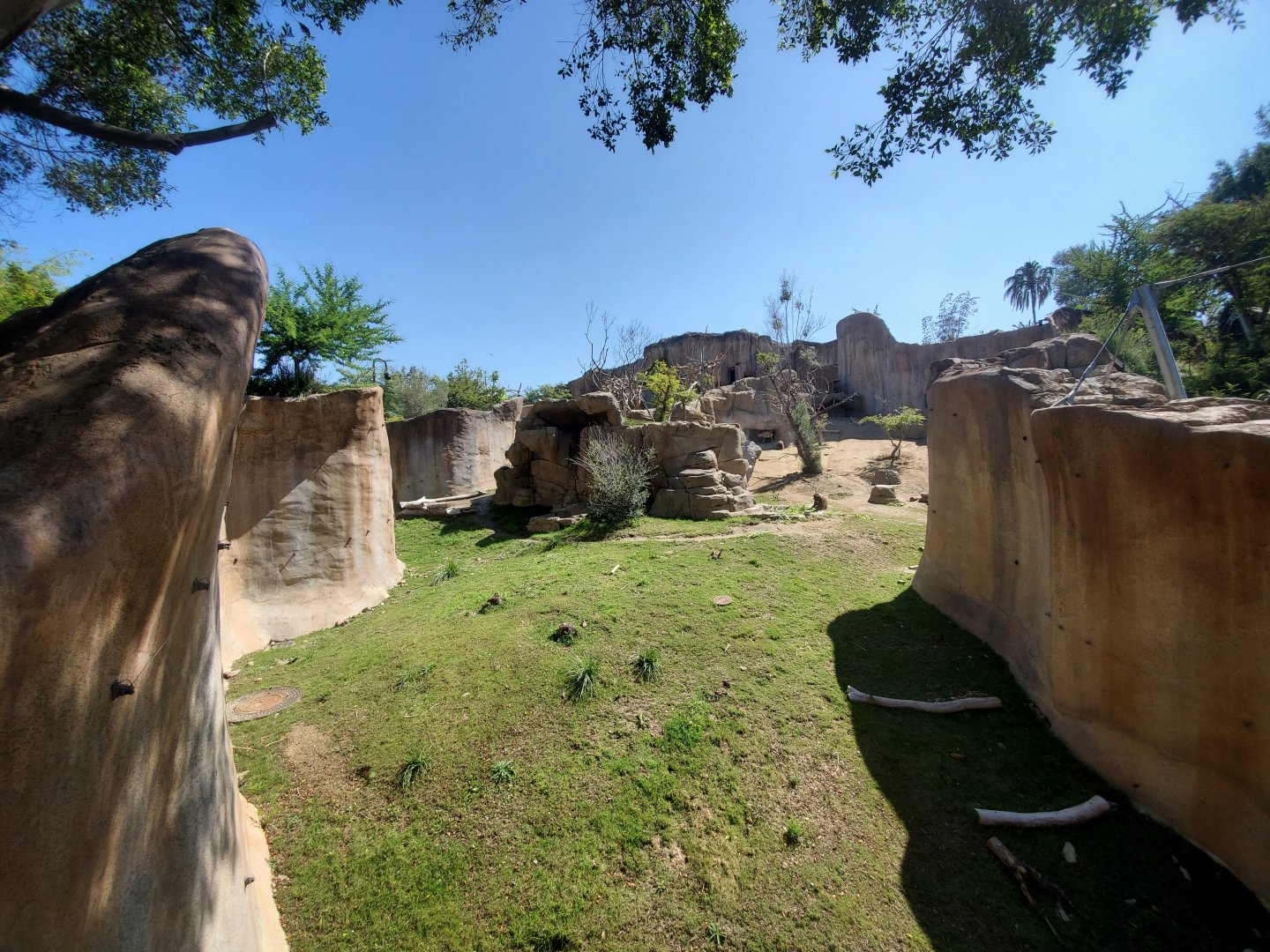 Sep. 2019 - Africa Rocks - Ethiopian Highlands - Gelada/Nubian Ibex Exhibit