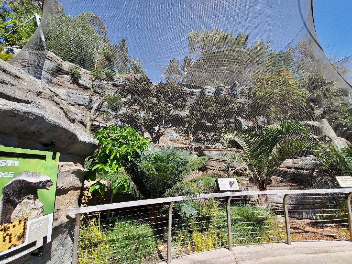 Sep. 2019 - Africa Rocks - Honey Badger Exhibit