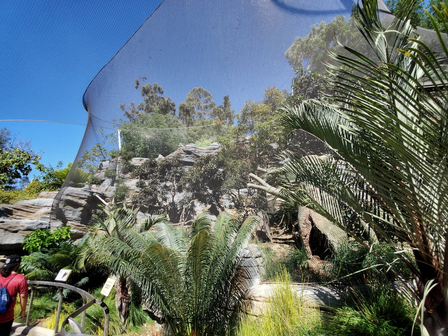 Sep. 2019 - Africa Rocks - Honey Badger Exhibit