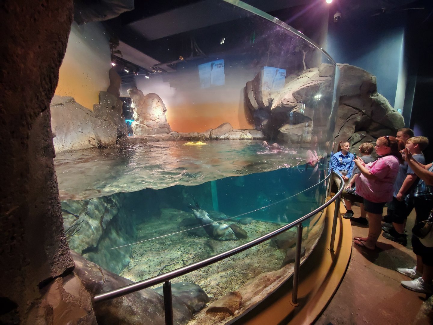 Sep. 2019 - Cold Water Quest - Sea Otter Above Water Viewing