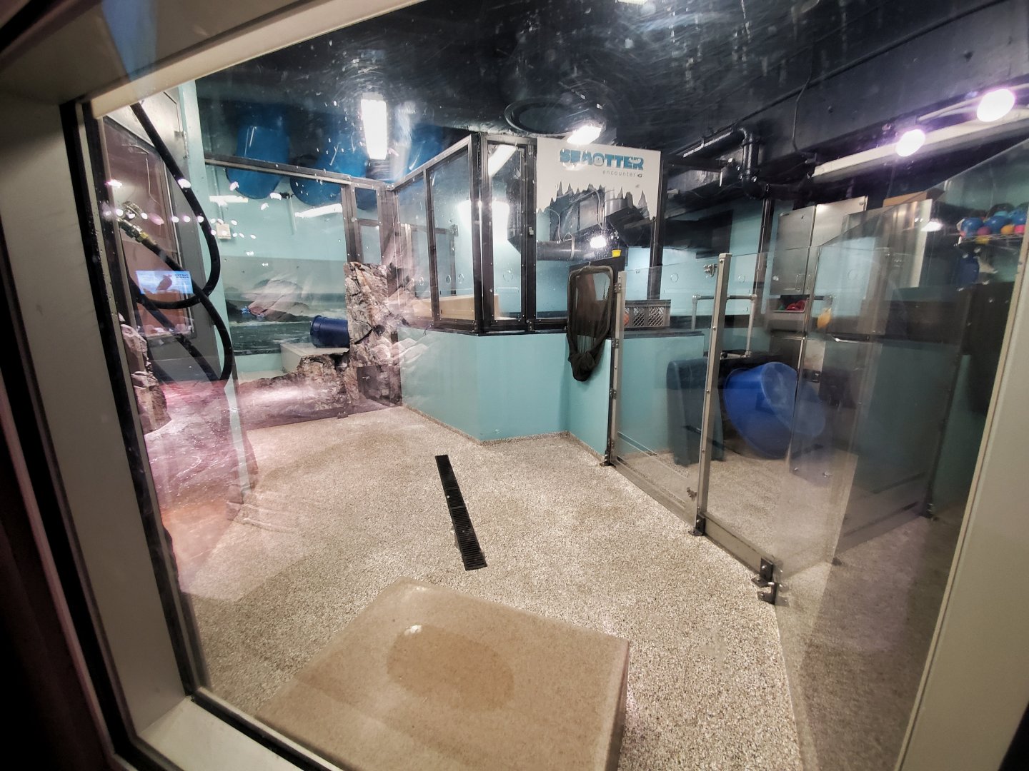 Sep. 2019 - Cold Water Quest - Sea Otter Rehab Center