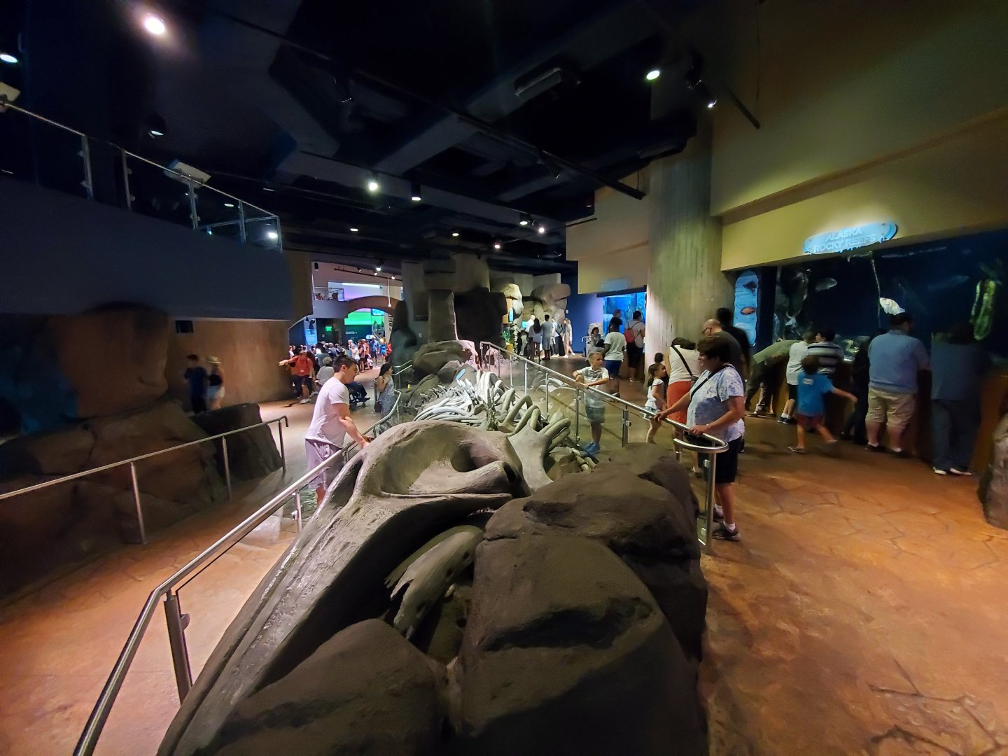 Sep. 2019 - Cold Water Quest