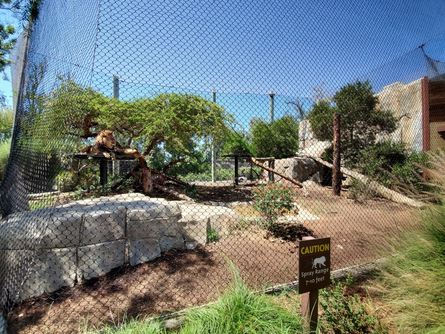 Sep. 2019 - Elephant Odyssey - Lion Exhibit