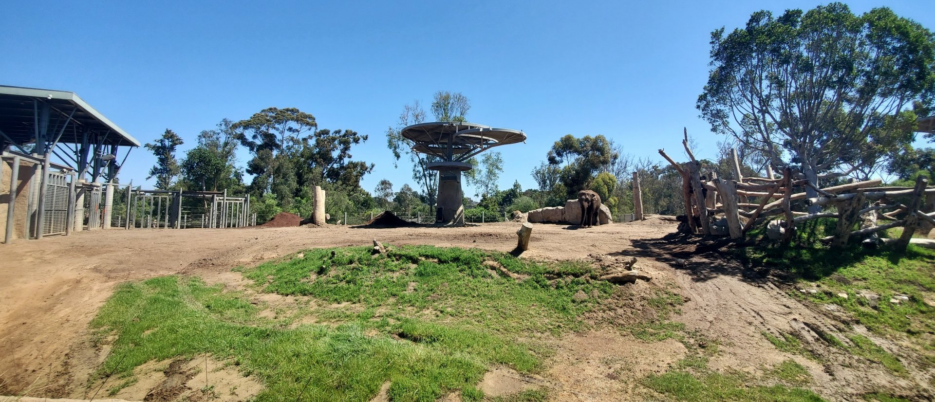 Sep. 2019 - Elephant Odyssey - Main African/Asian Elephant Exhibit