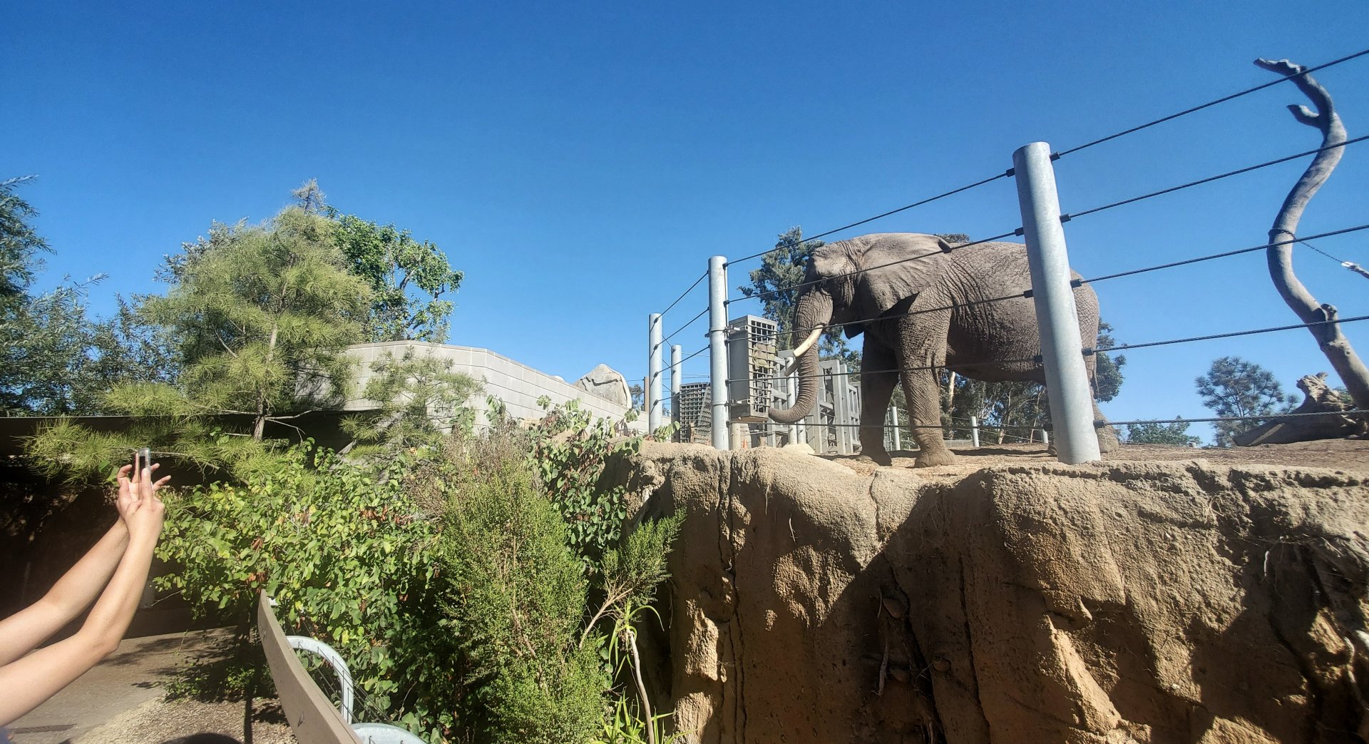 Sep. 2019 - Elephant Odyssey - Middle Elephant Exhibit