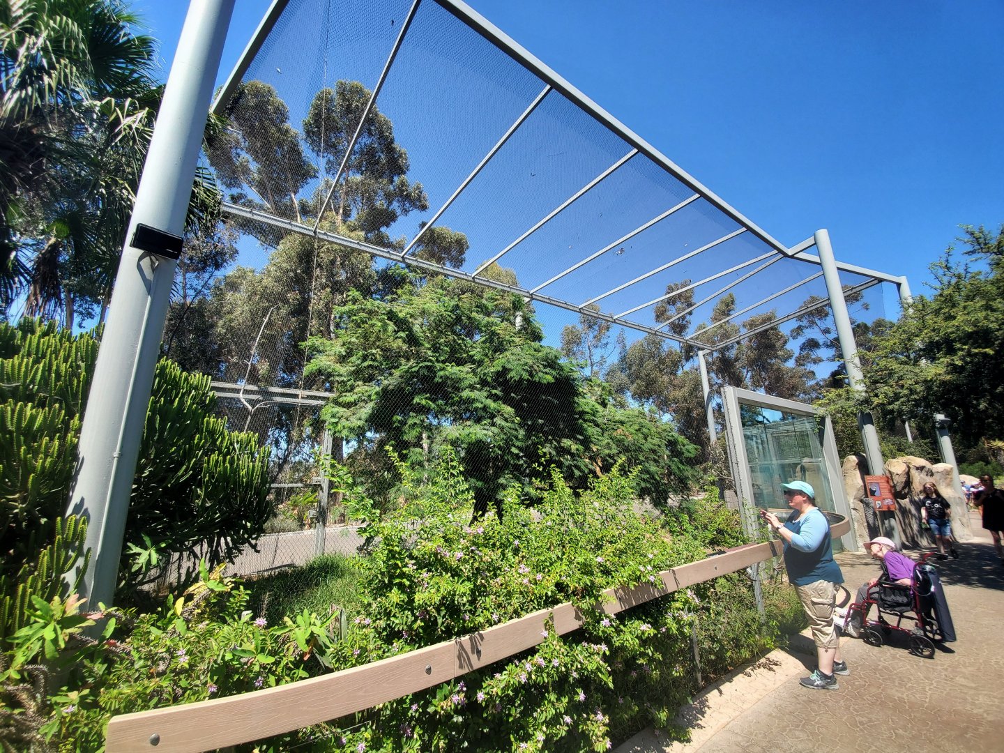 Sep. 2019 - Elephant Odyssey - Secretary Bird/Black-billed Magpie Exhibit