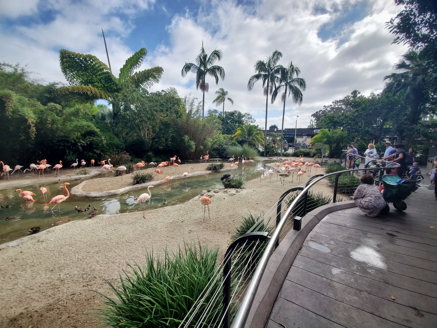 Sep. 2019 - Flamingo Lagoon
