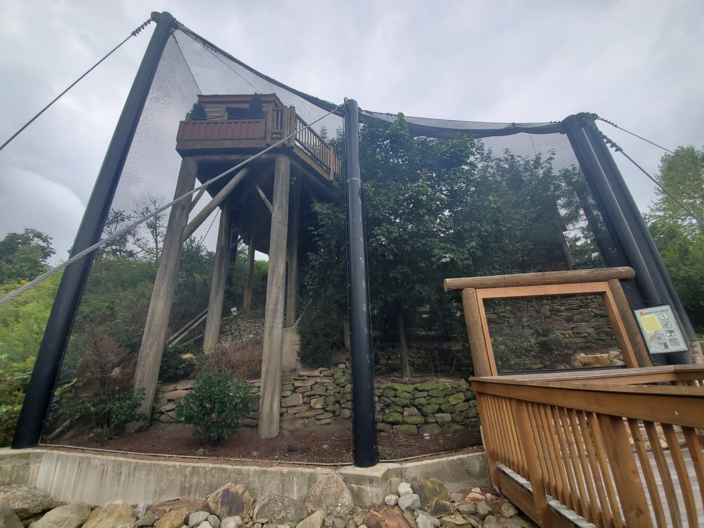 Sep. 2019 - Grizzly Ridge - Aviary