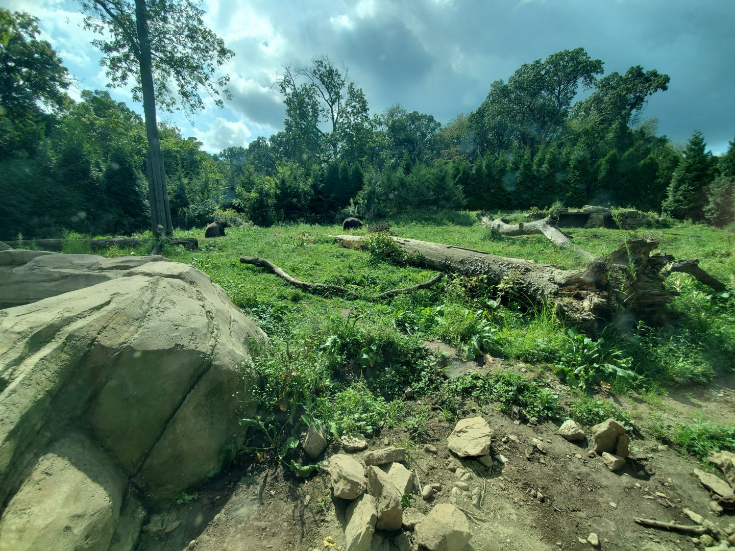 Sep. 2019 - Grizzly Ridge - Grizzly Bear Exhibit