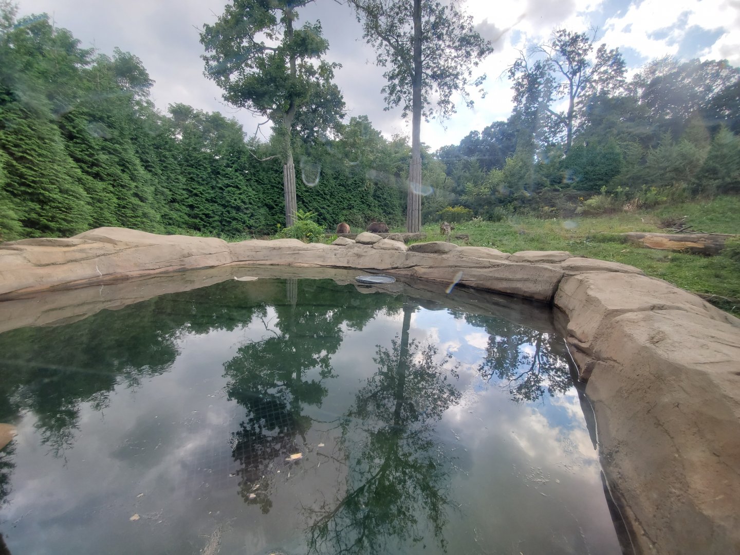 Sep. 2019 - Grizzly Ridge - Grizzly Bear Exhibit