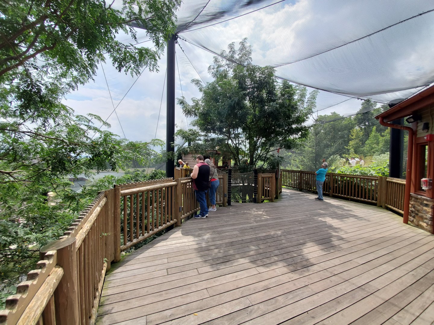 Sep. 2019 - Grizzly Ridge - Native Walkthrough Aviary