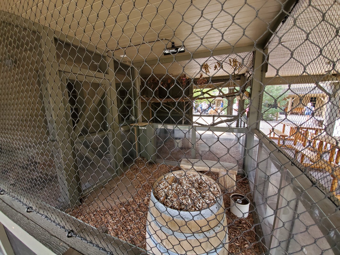 Sep. 2019 - Grizzly Ridge - Northern Bobwhite Quail Exhibit