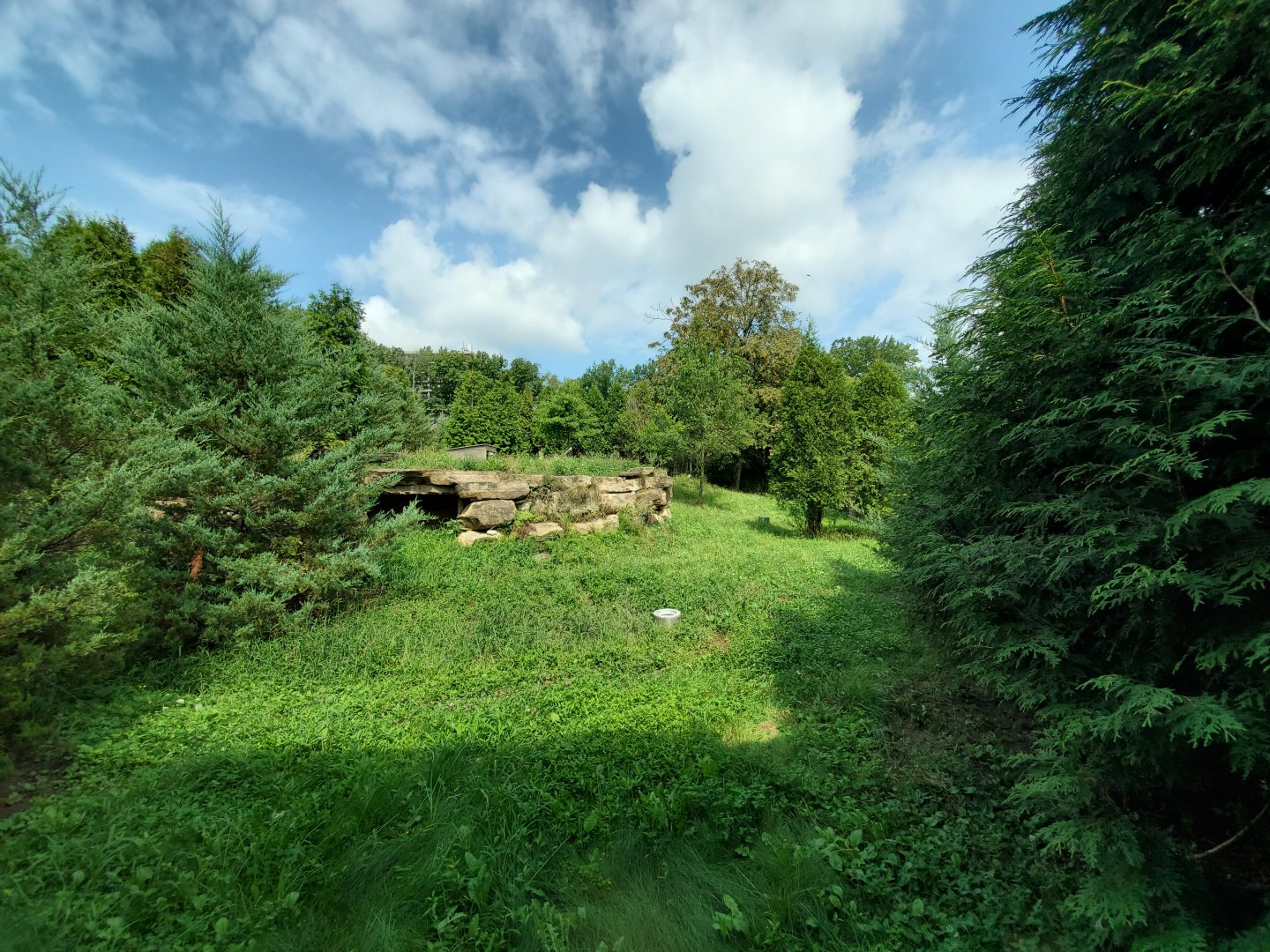 Sep. 2019 - Grizzly Ridge - Red Wolf Exhibit
