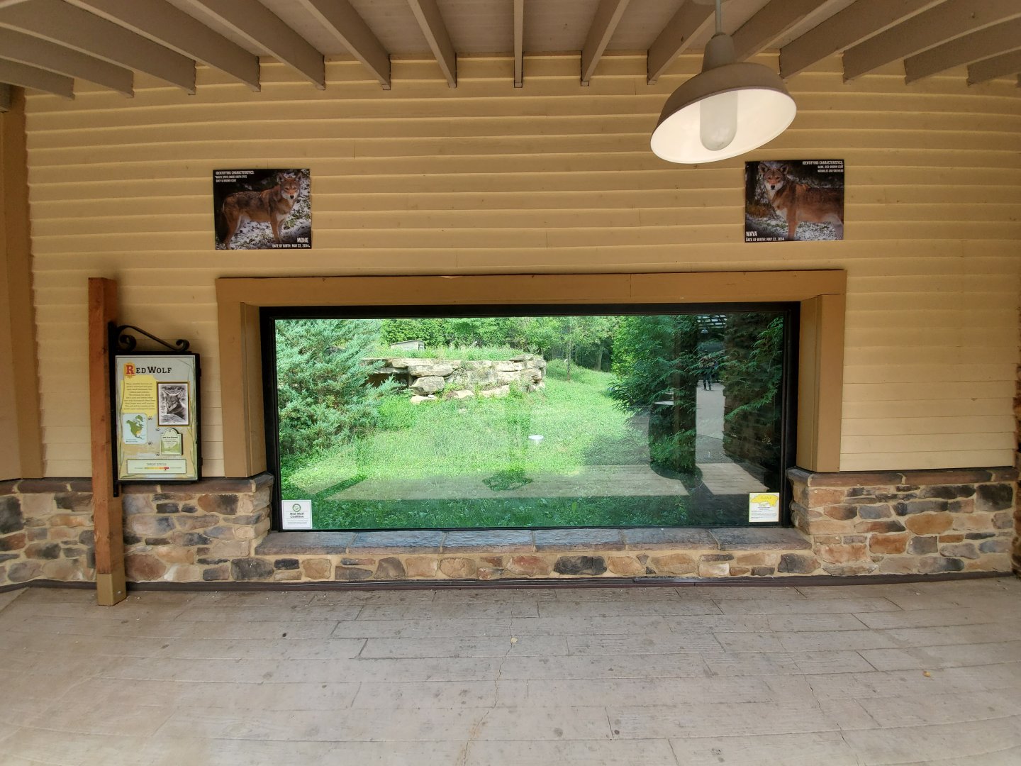 Sep. 2019 - Grizzly Ridge - Red Wolf Viewing