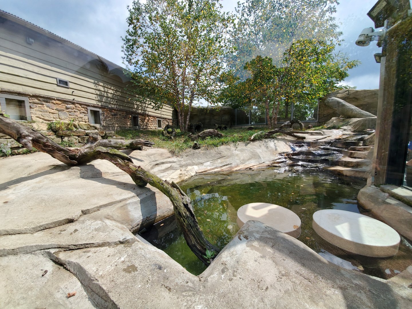 Sep. 2019 - Grizzly Ridge - River Otter Exhibit