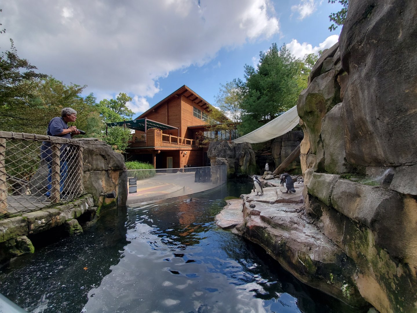 Sep. 2019 - Humbolt Penguin Exhibit