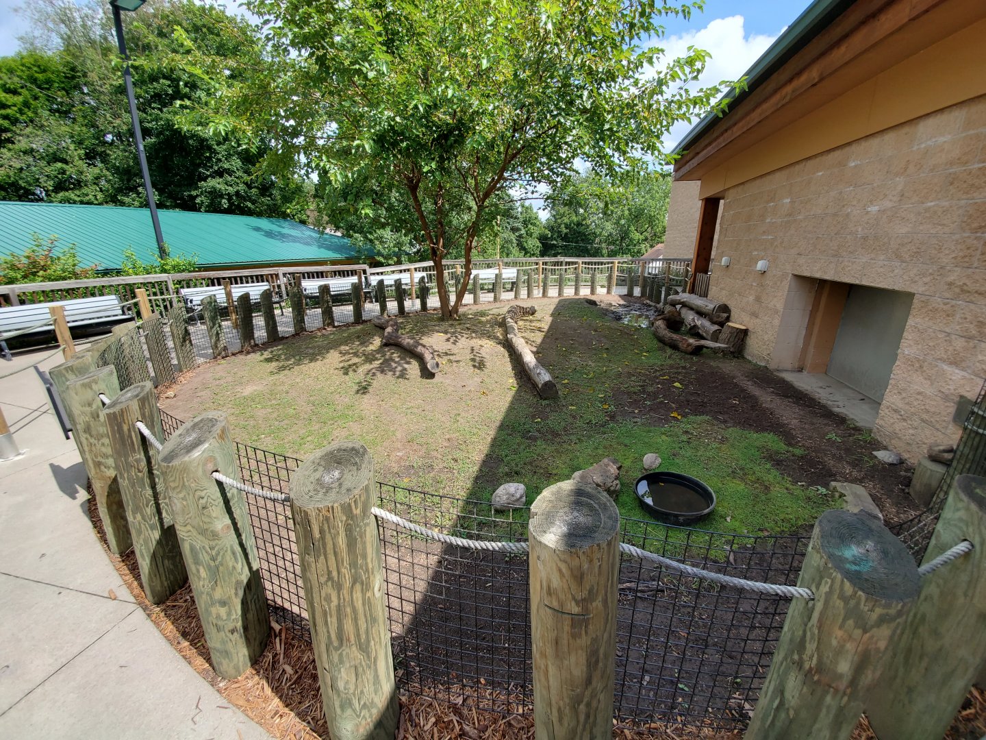 Sep. 2019 - Komodo Kingdom - Galapagos Tortoise Outdoor Exhibit