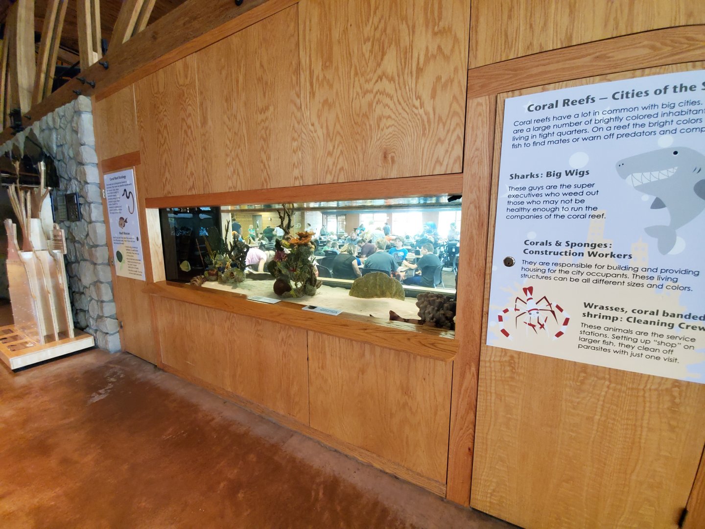 Sep. 2019 - Komodo Kingdom - White-spotted Bamboo Shark Tank