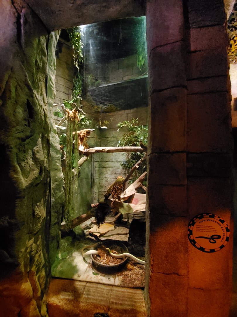 Sep. 2019 - Legends of the Wild - Cave Dwelling Snake Exhibit